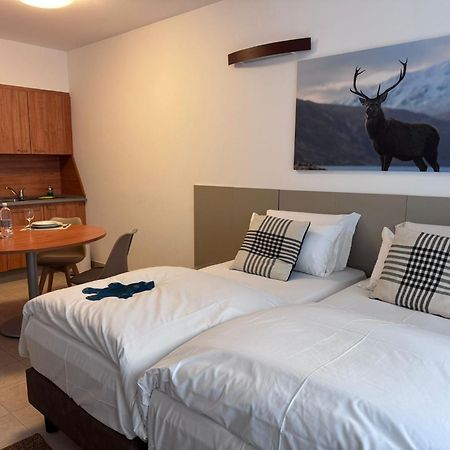 Base Camp Alpine Apartments Breuil-Cervinia Room photo